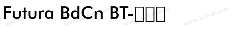 Futura BdCn BT字体转换